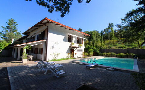 Pupa House: Plante, Ciel, Fenêtre, Bâtiment, Arbre, Ombre, Piscine, Herbe, Chalet, Mobilier De Jardin