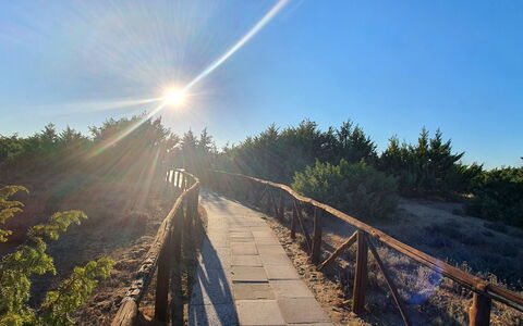 La Butterfly: Ciel, Plante, Paysage Naturel, Bois, Lumière Du Soleil, Rue, Arbre, Herbe, Route, Paysage