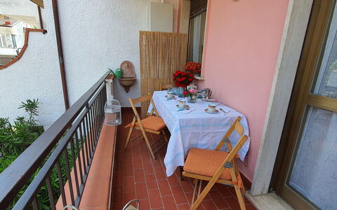 La Butterfly: Plante, Table, Propriété, Meubles, Bâtiment, Plante D'Appartement, Bois, Design Intérieur, Pot De Fleur, Fleur