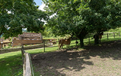 Locanda Di Alberi Without Kitchen