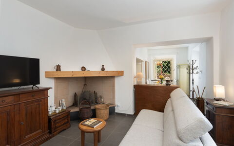 Casa Serra: Meubles, Propriété, Confort, Plante, Bois, Plante D'Appartement, Éclairage, Design Intérieur, Salon, Cabinetry