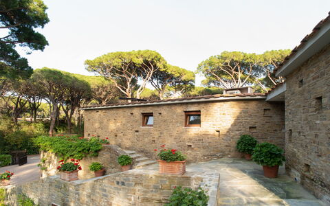 Villa La Pineta: Plante, Ciel, Propriété, Bâtiment, Fenêtre, Arbre, Chalet, Maison, Pot De Fleur, Quartier