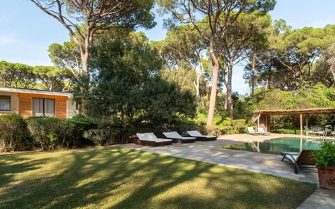 Villa La Pineta: Plante, Ciel, Bâtiment, Fenêtre, Arbre, Ombre, Lot Terre, Herbe, Zone Résidentielle, Chalet
