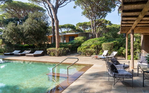 Villa La Pineta: L'Eau, Plante, Piscine, Ciel, Bâtiment, Arbre, Mobilier De Jardin, Ombre, Chaise, Arecales