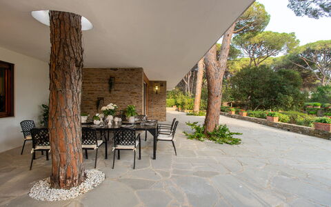 Villa La Pineta: Plante, Propriété, Table, Chaise, Éclairage, Bâtiment, Design Intérieur, Ombre, Mur, Arbre