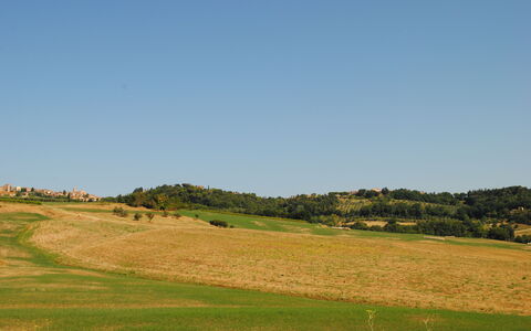 Alice - Podere Ribatti - Casole D'elsa, Toscana: Ciel, Plante, Paysage Naturel, Pente, Arbre, Agriculture, Plaine, Montagnes Relief, Herbe, Prairie