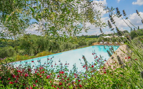 Villa Bartolomeo: L'Eau, Plante, Fleur, Ciel, Nuage, La Nature, Arbre, Paysage Naturel, Piscine, Herbe