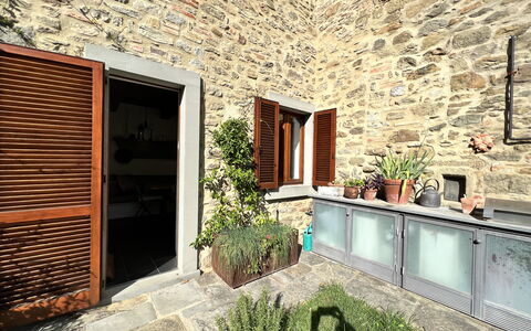 The Architects House: Plante, Bâtiment, Propriété, Fenêtre, Pot De Fleur, Bois, Design Intérieur, Architecture, Plante D'Appartement