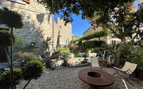 The Architects House: Plante, Bâtiment, Pot De Fleur, Arbre, Éclairage, Fenêtre, Surface De La Route, Plante D'Appartement, Design Urbain, Mur