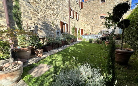 The Architects House: Plante, Propriété, Pot De Fleur, Bâtiment, Fenêtre, Éclairage, Végétation, Plante D'Appartement, Surface De La Route, Herbe