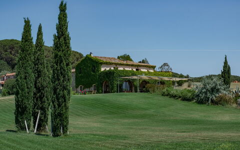 Villa Bagnoli: Ciel, Plante, Paysage Naturel, Lot Terre, Herbe, Mélèze, Arbre, À Feuilles Persistantes, Paysage, Famille Grass