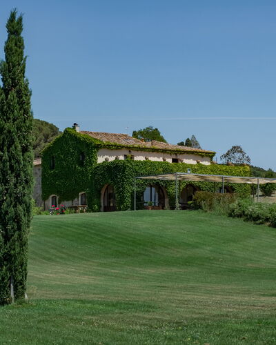 Villa Bagnoli: Ciel, Plante, Paysage Naturel, Lot Terre, Herbe, Mélèze, Arbre, À Feuilles Persistantes, Paysage, Famille Grass