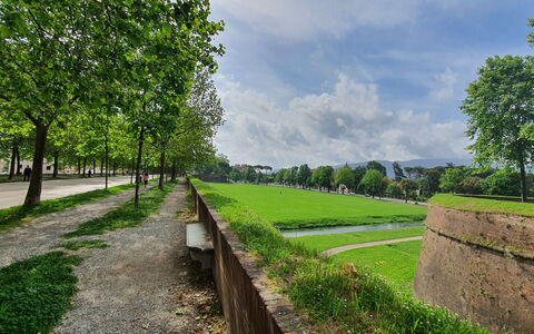 Casa Toto: Vert, Herbe, Plaine, Couverture De Sol, Jardin, Pelouse, Aménagement Paysager, Passerelle, Parc, Plantation