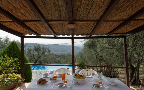 Casa Mimy: Table, Meubles, Vaisselle, Plante, Arbre, Ombre, Design Intérieur, Chaise, Verre De Vin, Mobilier De Jardin