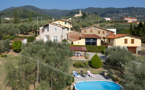 Casa Mimy: Ciel, Bâtiment, Propriété, Plante, Montagne, Arbre, Piscine, Maison, Zone Résidentielle, Immobilier