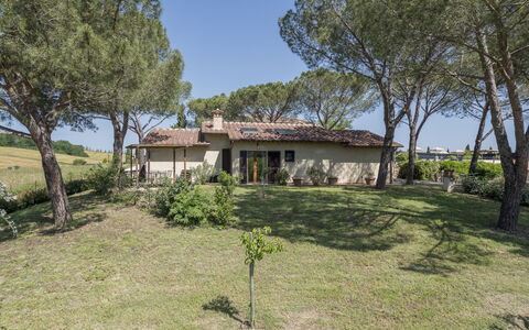 Anilde, Holiday Home with Pool, Wifi, Tuscany: Plante, Ciel, Bâtiment, Arbre, Fenêtre, Paysage Naturel, Maison, Lot Terre, Herbe, Chalet