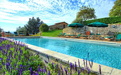 Villa Cona: L'Eau, Nuage, Ciel, Fleur, Plante, Piscine, La Nature, Bleu Azur, Arbre, Paysage Naturel