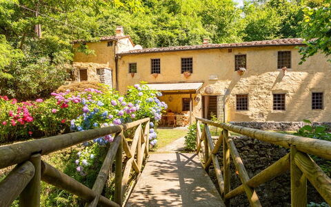 Molin Barletta, Private Pool, Nature - Marliana, T: Plante, Fleur, Bâtiment, Fenêtre, Propriété, Arbre, Bois, Clôture, Maison, Jaune