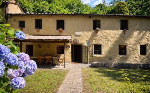 Molin Barletta, Private Pool, Nature - Marliana, T: Maison, Arbuste, Chalet, Biens, Zone Rurale, Arrière-Cour, Jardin, Cour, Hacienda, Pelouse