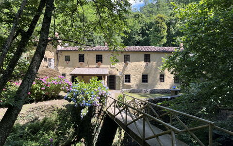 Molin Barletta, Private Pool, Nature - Marliana, T: Plante, Fenêtre, Bâtiment, Arbre, Paysage Naturel, Maison, Immobilier, Fleur, Chalet, Bois