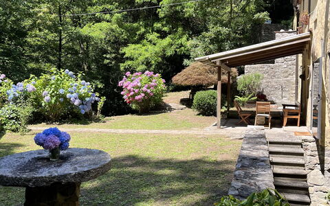 Molin Barletta, Private Pool, Nature - Marliana, T: Plante, Botanique, Feuille, Paysage Naturel, Arbre, Végétation, Herbe, Ciel, Paysage, Arbuste