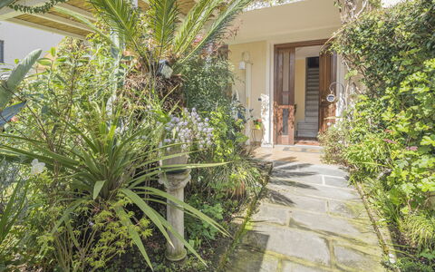 La Bouganville, Forte Dei Marmi, Private Garden, W: Arbuste, Jardin, Pot De Fleur, Aménagement Paysager, Plante D'Appartement, Cour, Dalle, Arrière-Cour, Cour