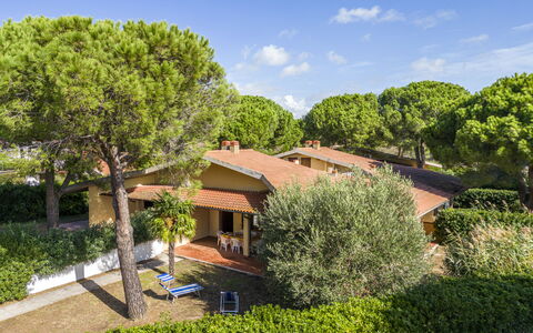 Argentario Giannella Apartment- Orbetello, Toscana: Plante, Nuage, Ciel, Communauté Des Plantes, Bâtiment, Fenêtre, Arbre, Paysage Naturel, Végétation, Lot Terre