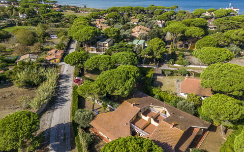 Argentario Giannella Apartment- Orbetello, Toscana: Plante, L'Eau, Végétation, Arbre, Lot Terre, Design Urbain, Biome, Herbe, Paysage Naturel, Quartier