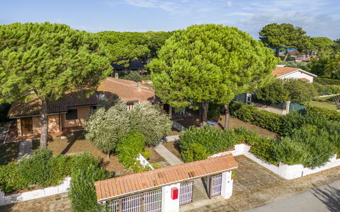 Giannella Apartment - Orbetello, Toscana: Plante, Ciel, Nuage, Propriété, Arbre, Design Urbain, Lot Terre, Paysage, Fenêtre, Arbuste