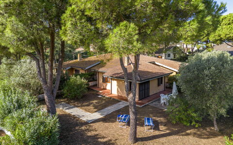 Giannella Apartment - Orbetello, Toscana: Plante, Fenêtre, Bâtiment, Arbre, Maison, Bois, Chalet, Paysage Naturel, Loisir, Paysage