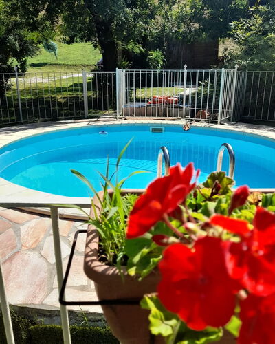Podere Elsa: L'Eau, Fleur, Plante, Bâtiment, Piscine, Pot De Fleur, Arbre, Bleu Azur, Botanique, Clôture