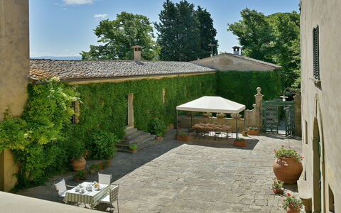 Torre Di Montelopio: Plante, Ciel, Propriété, Bâtiment, Arbre, Nuage, Ombre, Pot De Fleur, Lot Terre, Plante D'Appartement