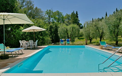 Torre Di Montelopio: L'Eau, Piscine, Meubles, Plante, Ciel, Chaise, La Nature, Bleu Azur, Arbre, Mobilier De Jardin