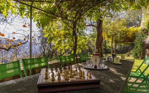 La Casa Dei Limoni, Camaiore, Pet Friendly, Wifi: Plante, Table, Ombre, Arbre, Lumière Du Soleil, Paysage Naturel, Chaise, Paysage, Loisir, Mobilier De Jardin