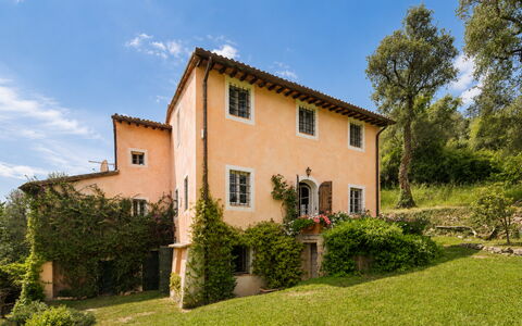 La Casa Dei Limoni, Camaiore, Pet Friendly, Wifi: Maison, Arbuste, Domicile, Zone Rurale, Chalet, Lot Terre, Communauté Des Plantes, Biens, Jardin, Ferme