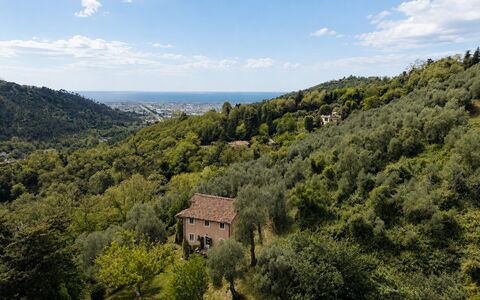 La Casa Dei Limoni, Camaiore, Pet Friendly, Wifi: Feuille, Environnement Naturel, La Nature, Végétation, Paysage Naturel, Colline, Montagnes, Paysage, Écorégion, Communauté Des Plantes