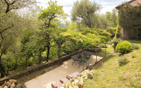 La Casa Dei Limoni, Camaiore, Pet Friendly, Wifi: Feuille, Végétation, Arbuste, Jardin, Communauté Des Plantes, Zone Rurale, Printemps, Arrière-Cour, Aménagement Paysager
