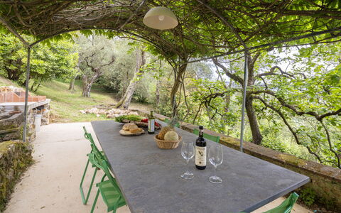 La Casa Dei Limoni, Camaiore, Pet Friendly, Wifi: Meubles, Tableau De Plein Air, Mobilier De Jardin, Jardin, Lumière Du Soleil, Ombre, Chaise, Table Cuisine Et Salle A Manger, Arrière-Cour
