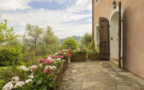 La Casa Dei Limoni, Camaiore, Pet Friendly, Wifi: Arbuste, Communauté Des Plantes, Jardin, Pot De Fleur, Plante D'Appartement, Dalle