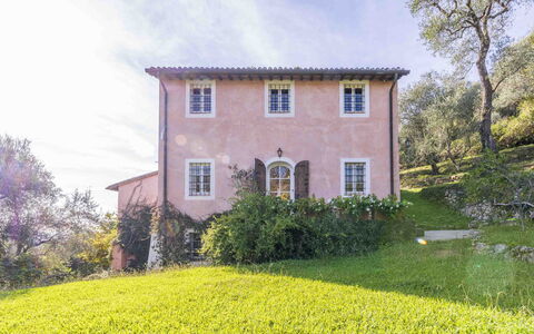 La Casa Dei Limoni, Camaiore, Pet Friendly, Wifi: Végétation, Arbuste, Maison, Zone Rurale, Communauté Des Plantes, Chalet, Domicile, Printemps, Couverture De Sol, Jardin