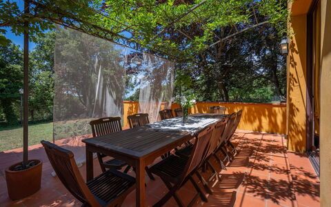 Tenuta De Paoli - Chianni, Pool, Wifi, Privacy, To: Table, Meubles, Arbre, Bois, Chaise, Tableau De Plein Air, Plante, Mobilier De Jardin, Ombre, Loisir