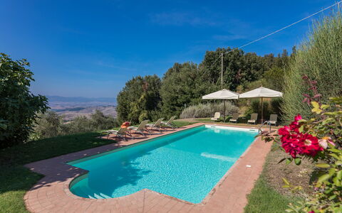 Villa Belvedere: L'Eau, Plante, Propriété, Ciel, Piscine, Bleu Azur, Fleur, Parapluie, Arbre, Chaise