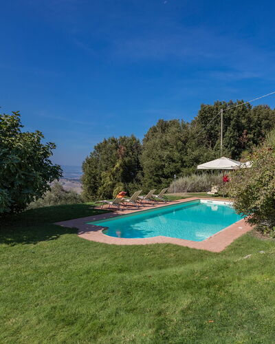 Villa Belvedere: Ciel, Plante, L'Eau, Paysage Naturel, Arbre, Lot Terre, Piscine, Ombre, Herbe, Paysage