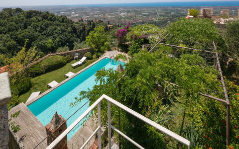 Villa Maestosa - Camaiore, Toscana: L'Eau, Propriété, Ciel, Botanique, Bâtiment, Arbre, Plante, Architecture, Végétation, Design Urbain