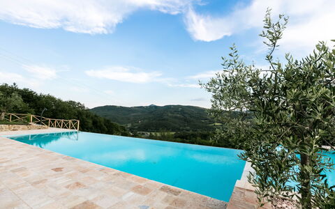 Villa Niccione: L'Eau, Nuage, Ciel, Plante, Bâtiment, Piscine, Bleu Azur, Arbre, Rectangle, Ombre