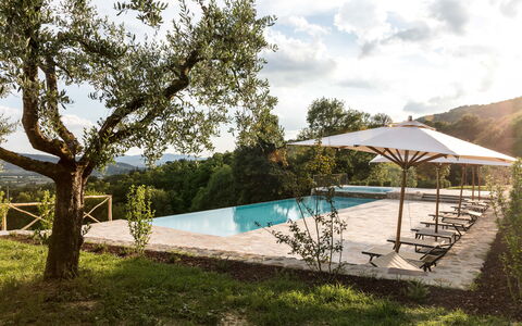 Villa Niccione: Plante, L'Eau, Ciel, Nuage, Piscine, Ombre, Arbre, Lot Terre, Mobilier De Jardin, Loisir