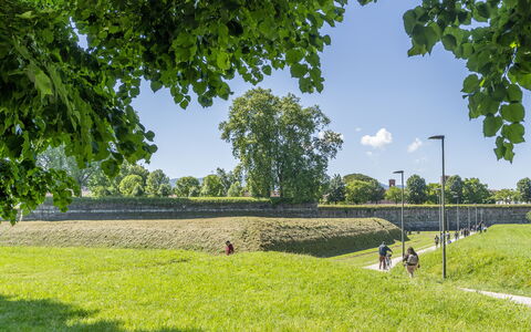 Lucca Old Town Apartment - Lucca, Toscana: Vert, Herbe, Prairie, Été, Plaine, Paysage, Lot Terre, Zone Rurale, Champ