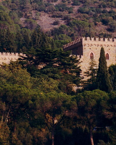 Palazzo Trasimeno: Plante, Paysage Naturel, Bâtiment, Arbre, Végétation, Paysage, Ville, Château, Colline, Médiéval Architecture