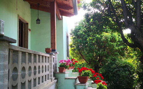 Franco House With Pool: Fleur, Plante, Bâtiment, Pot De Fleur, Maison, Arbre, Bois, Fenêtre, Surface De La Route, Ombre