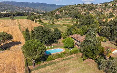 Villa Marconi: Plante, Nuage, Communauté Des Plantes, Ciel, Écorégion, Paysage Naturel, Environnement Naturel, Arbre, Végétation, Lot Terre